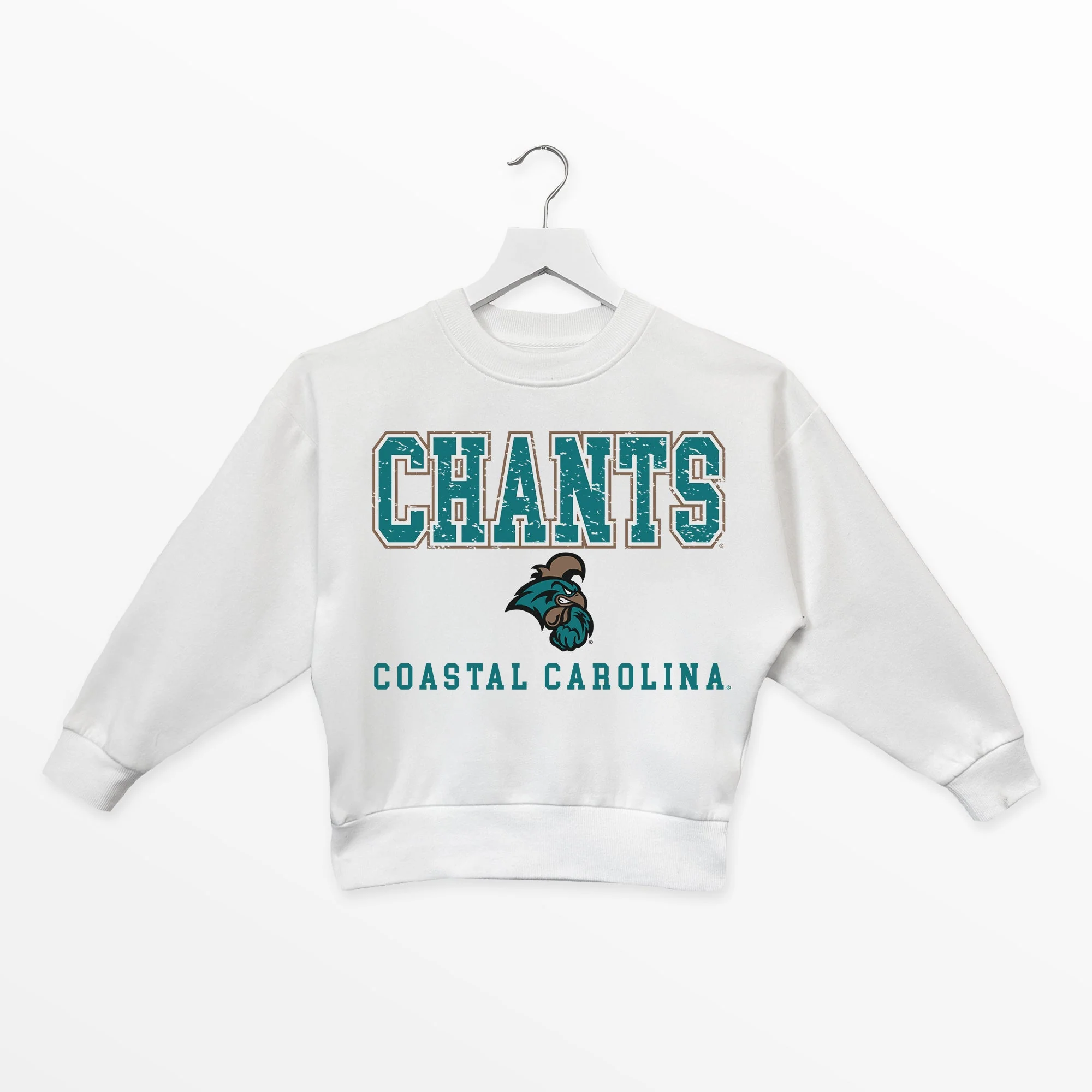 COASTAL CAROLINA CHANTICLEERS FREESTYLE YOUTH PREMIUM FLEECE SWEATSHIRT - Image 5