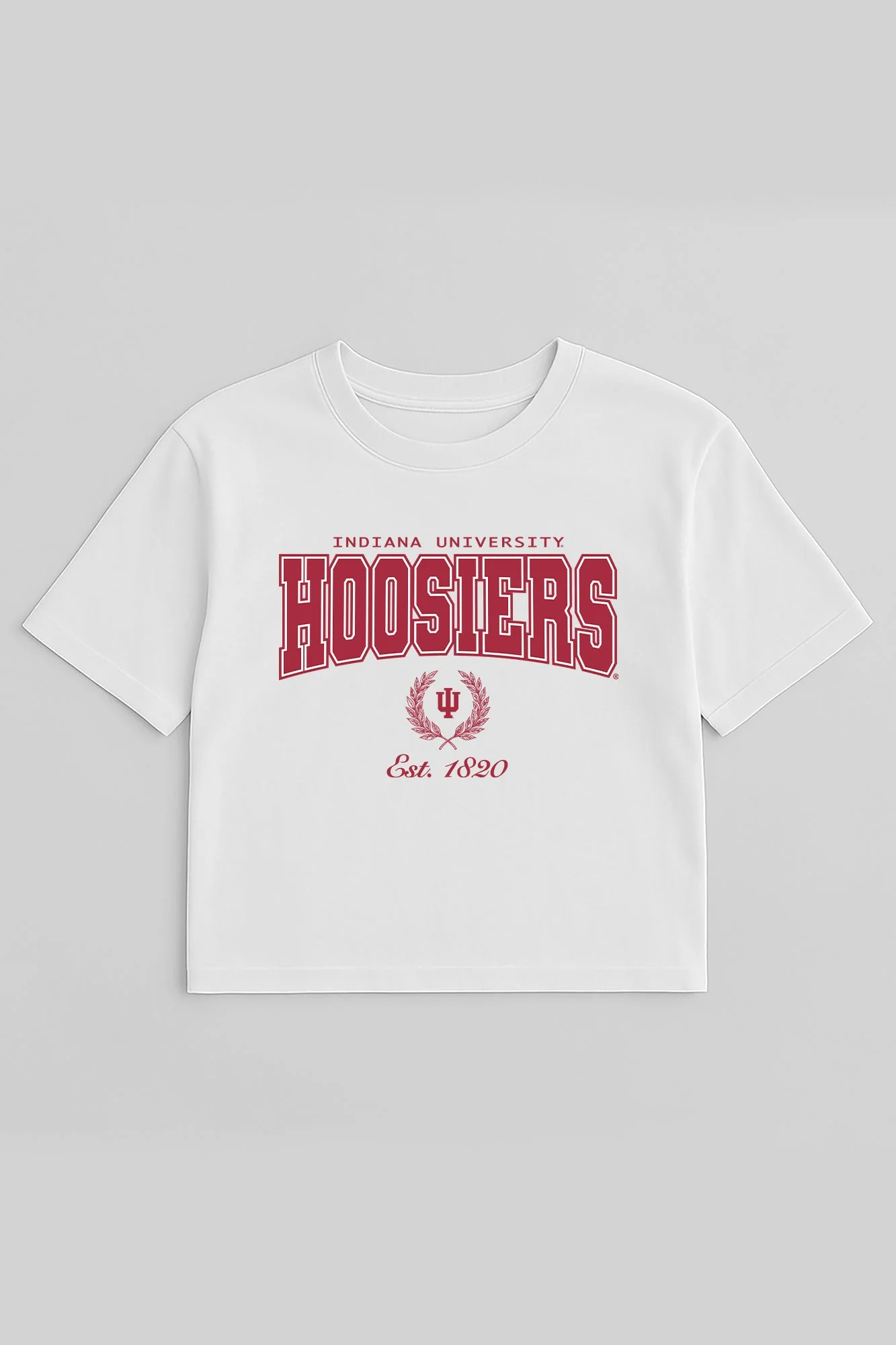 INDIANA HOOSIERS EASY WIN BOXY FIT CROP TEE - Image 5