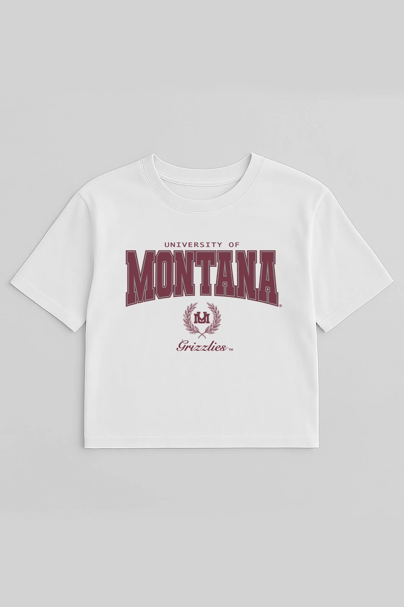 MONTANA GRIZZLIES EASY WIN BOXY FIT CROP TEE - Image 5