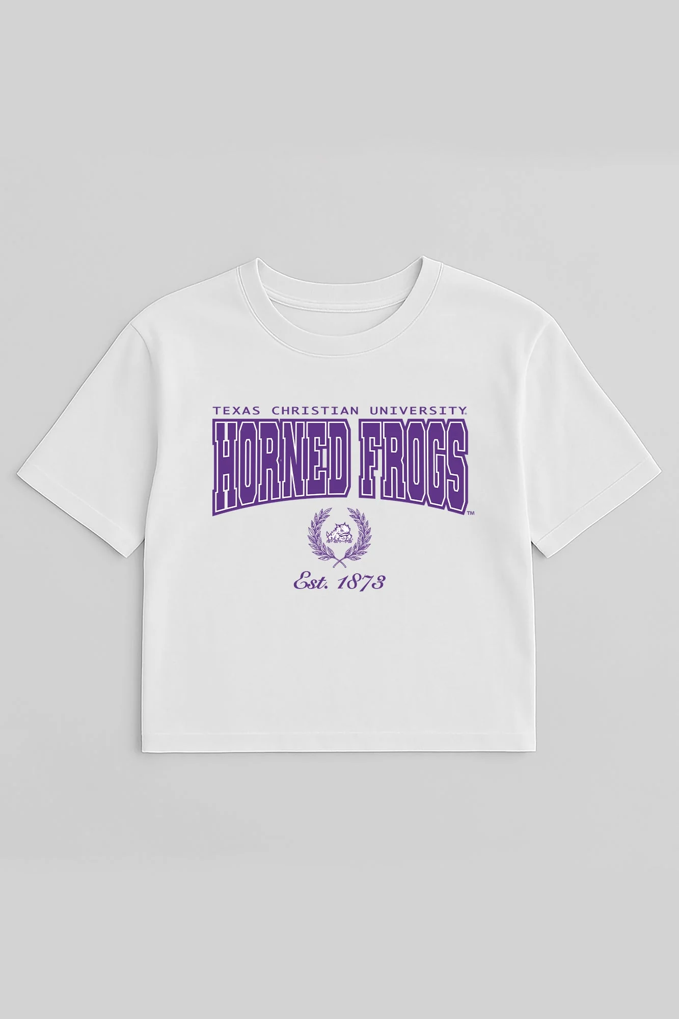 TCU HORNED FROGS EASY WIN BOXY FIT CROP TEE - Image 5